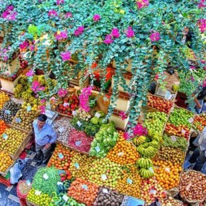 Toutes sortes de fruits sur le marché