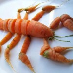 homard en carotte